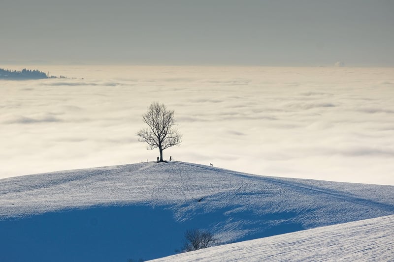 Mountain trail